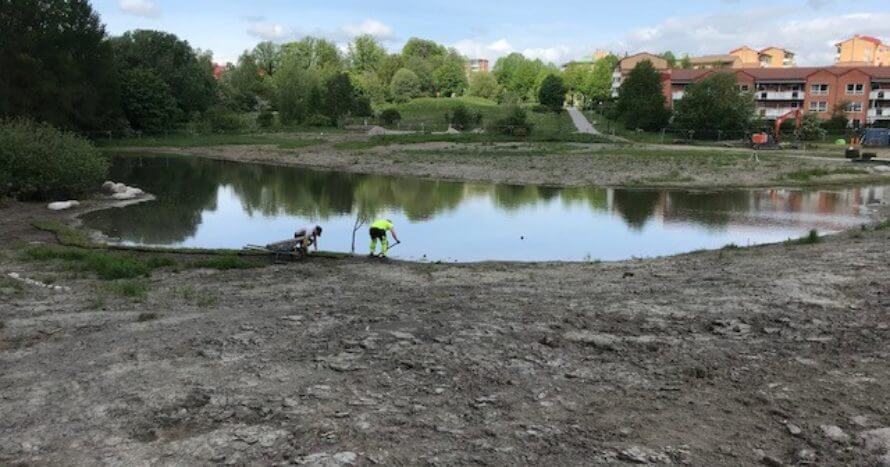 JE_Mark_Damm_Angsmattor_Anlaggning_Solna_Stockholm.jpg