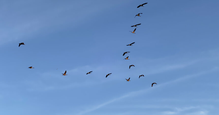 himmel.jpg